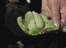 Jodorowsky El Topo Fingering Cactus GIF - Jodorowsky El Topo Fingering Cactus Loving Cactus GIFs