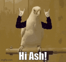Hi Ash GIF - Hi Ash Eden GIFs
