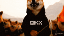 a dog wearing a hoodie that says okx is surrounded by other dogs