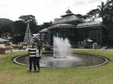 Petropolis Excited GIF - Petropolis Excited Today GIFs