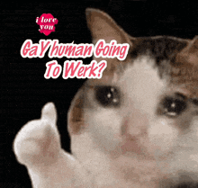 a cat is giving a thumbs up with the words gay human going to werk behind it