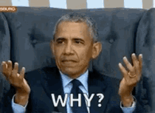 Wtf What Do You Mean GIF - Wtf What Do You Mean Obama GIFs