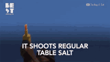 It Shoots Regular Table Salt Fly Gun GIF