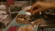 Edible Insects: Finger-lickin' Grub GIF - Food Exotic Worms GIFs