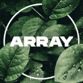 Array GIF - Array GIFs