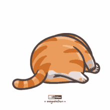 Gato Cat GIF - Gato Cat Dormir GIFs