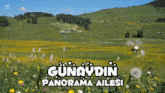 a field of flowers with the words günaydin panorama ailesi written on it