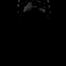 an x-ray of the spine and pelvis of a person .