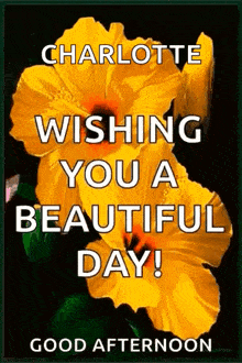 a picture of a yellow flower with the words charlotte wishing you a beautiful day good afternoon