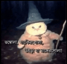 a stuffed animal wearing a witch hat and holding a cane .