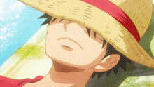 a close up of a person wearing a straw hat with a red ribbon