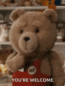 Bear Ted GIF