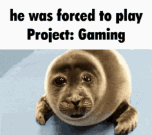 Project Gaming Project Gaming Roblox GIF - Project Gaming Project Gaming Roblox Pg Roblox GIFs