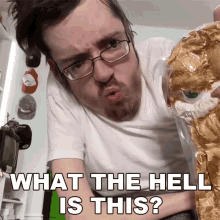 What The Hell Is This Ricky Berwick GIF