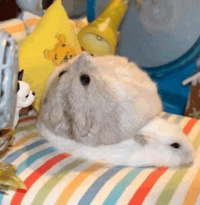 two hamsters are laying on top of each other on a bed