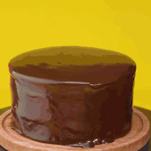 a chocolate cake is sitting on a wooden plate