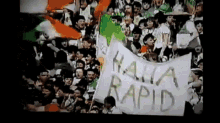 Sk Rapid Celtic GIF - Sk Rapid Celtic Haha Rapid GIFs