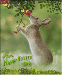 a picture of a rabbit eating flowers with the words happy easter below it
