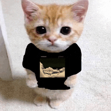 Pinkerton Cat GIF - Pinkerton Cat Weezer GIFs