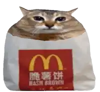a cat is sitting on top of a mcdonald 's hash brown bag