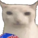 a white cat is crying while holding a blue and red ball .