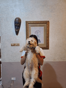 a woman is holding a small white dog in front of a painting