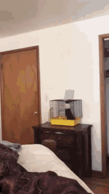Rabbit Jumps GIF - Rabbit Jumps Out GIFs