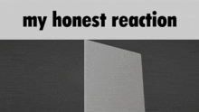 My Honest Reaction Blender GIF - My Honest Reaction Blender 3d GIFs