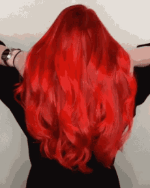 Rode GIF - Rode Haar Rode Haar GIFs