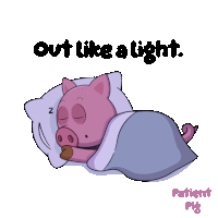 a pig is sleeping in a bed with the words out like a light
