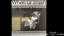 When Ur Crush Is Next To Ur Grave Im Back GIF - When Ur Crush Is Next To Ur Grave Im Back Cute GIFs