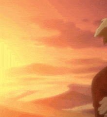 a person is standing in front of a sunset with a hat on .
