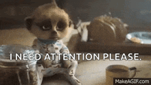 a baby meerkat is sitting on a table and says `` i need attention please . ''