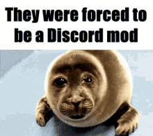 Discord Discord Mod GIF - Discord Discord Mod Cement GIFs