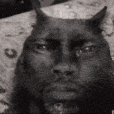 a black cat with horns and a beard is laying on a bed