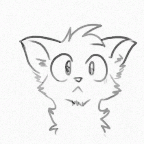 How to Draw Wild Cat Furry