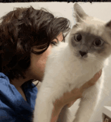 Sai Humana Minha Humana De Estimação Gato GIF - Sai Humana Minha Humana De Estimação Gato Cat GIFs