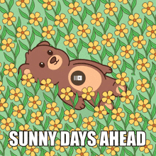 a teddy bear is laying in a field of flowers with the words sunny days ahead