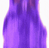 a close up of purple hair on a white background .