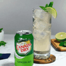 Canada Dry Ginger Ale GIF - Canada Dry Ginger Ale Twist Of Lime GIFs