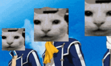 Uncanny Canny Cat GIF - Uncanny Canny Canny Cat GIFs