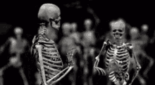 Baile Fiesta GIF - Baile Fiesta Skeleton GIFs