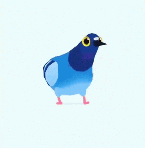 pigeon-dance-pigeon.gif