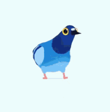 pigeon dove