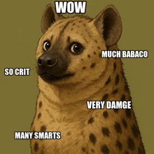 a picture of a hyena with the words wow so crit much babaco many smarts and very damge