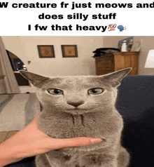 Cat Meme GIF - Cat Meme Fw That Heavy GIFs