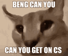 Ben Cs Cs GIF
