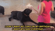 Dog Birthday GIF - Dog Birthday Cupcake GIFs
