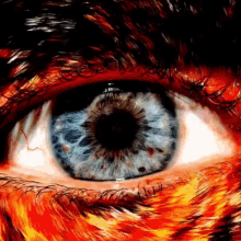 Eye Gaze GIF - Eye Gaze Bitcoin GIFs