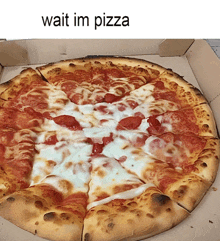 Pizza GIF